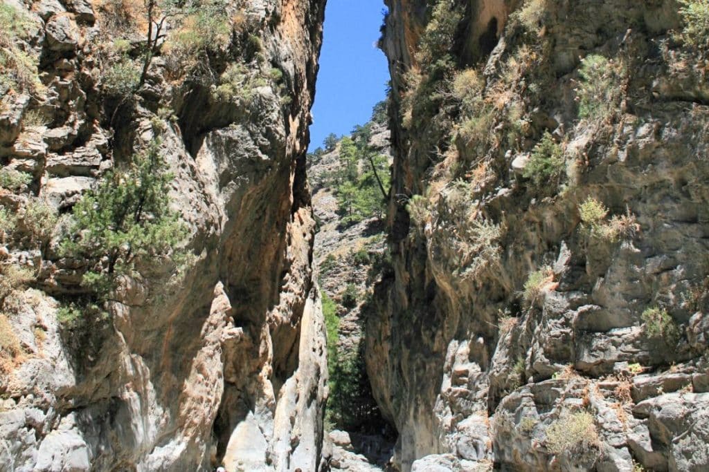Gorges de Samaria 
Source : wikipédia 
